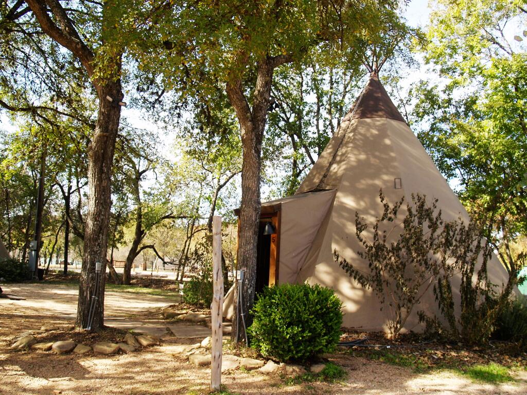 5 Yellow Flower - Tipis On The Guadalupe - thumb 0