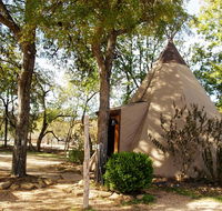 5 Yellow Flower - Tipis on the Guadalupe - Tourism House