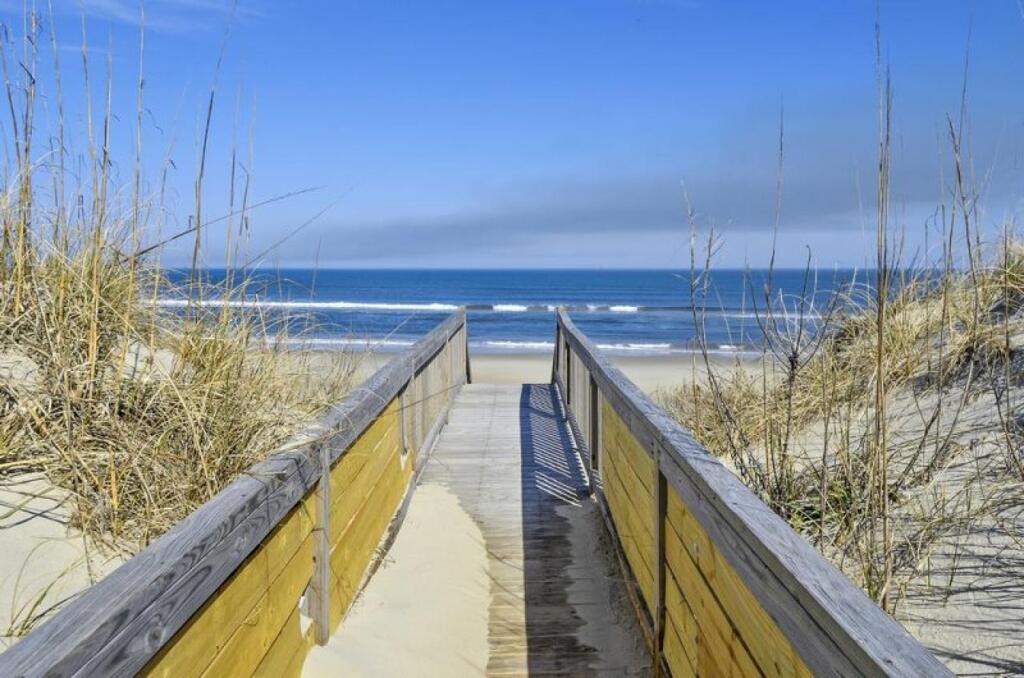 1227 - Seven Shells - thumb 3