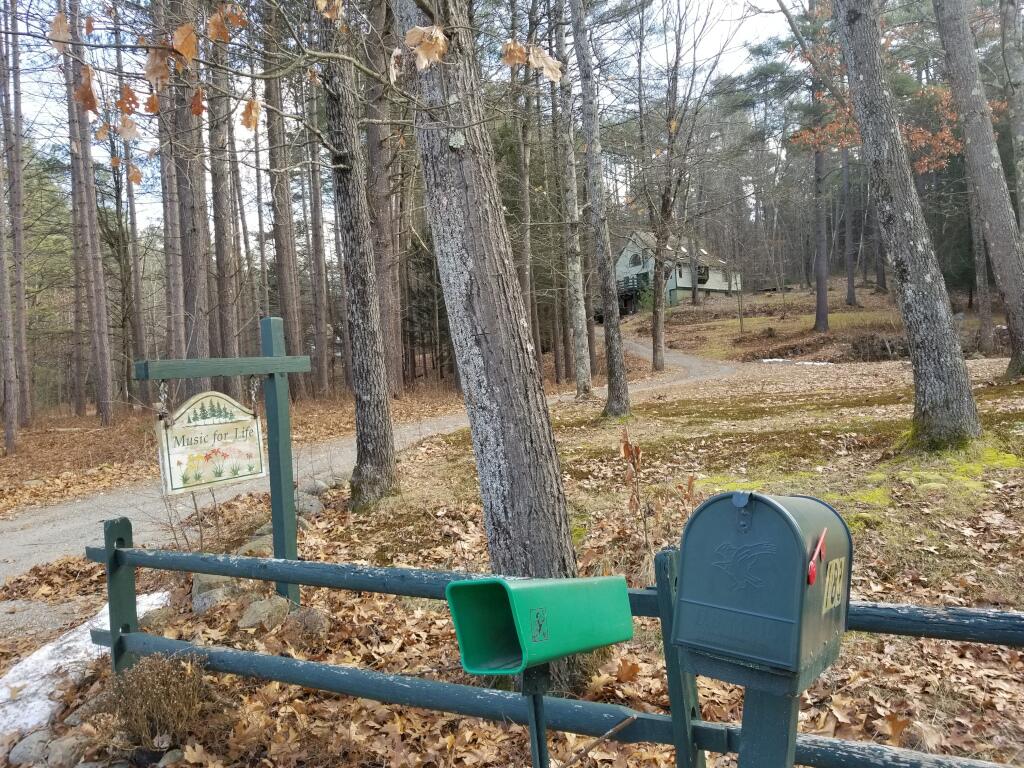 A Healing Forest Space In The Heart Of New England - thumb 0