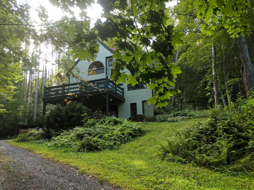 A Healing Forest Space In The Heart Of New England - thumb 1