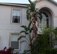 A Perfect Place to Stay - Tourism House