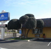 Americas Best Value Inn - Clovis - Tourism House