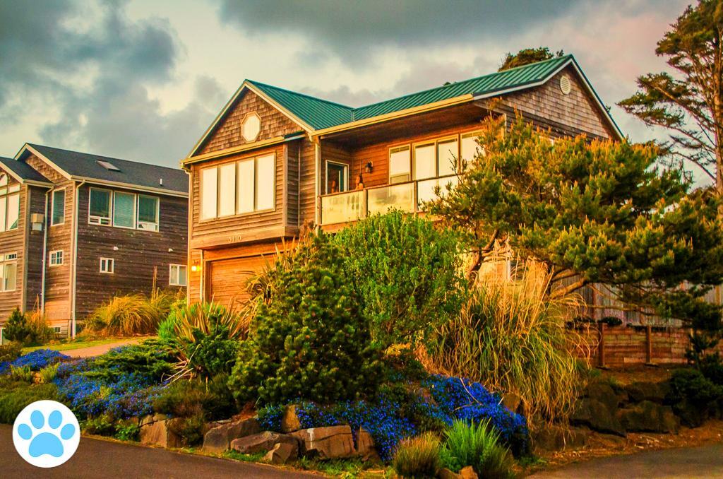 Beach Song - thumb 0