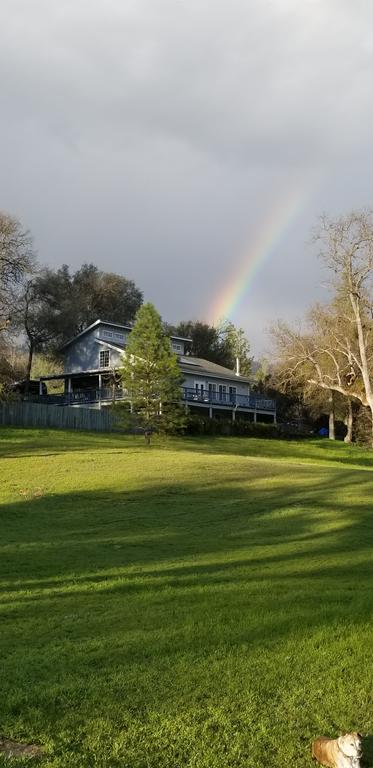 Charming Downstairs Unit - thumb 1