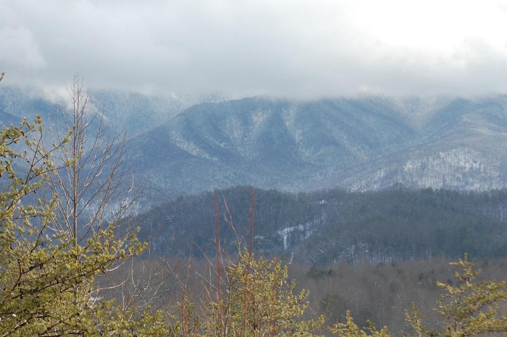 Country Bear Hideaway - thumb 3