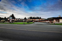 Curly Redwood Lodge Tourism House