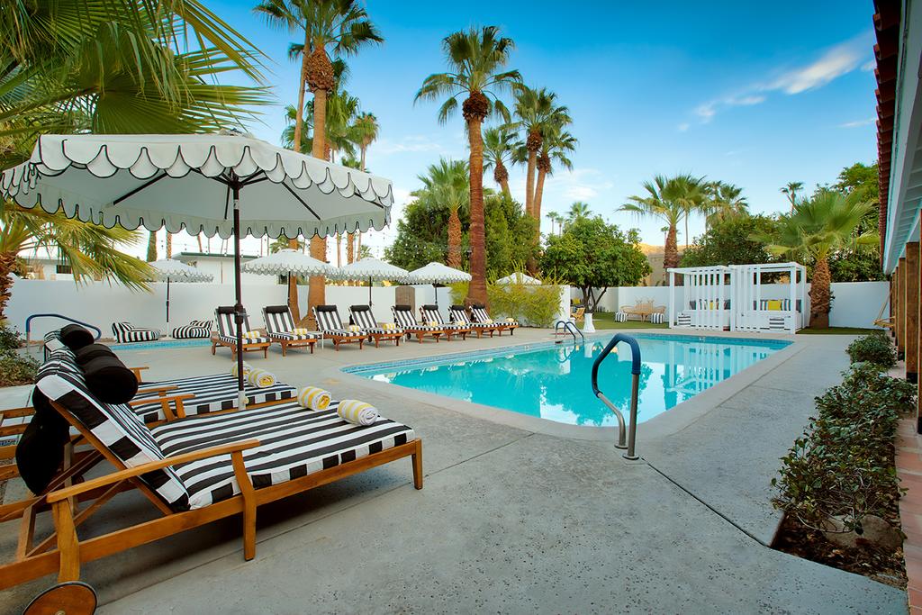 Dive Palm Springs - thumb 0