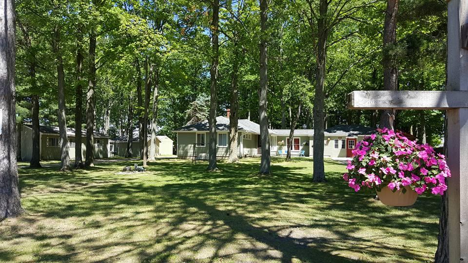 Hidden Haven Cottages - thumb 0