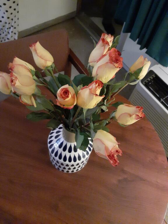 Jellico Motel - thumb 2