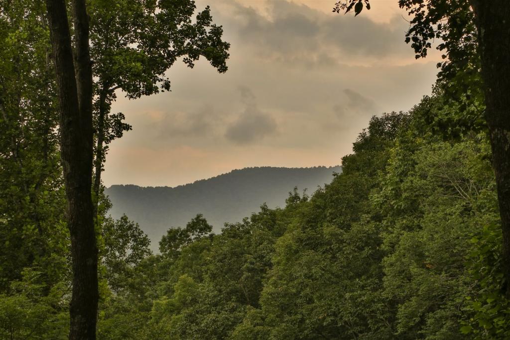 Living On Mountain Tyme - thumb 1