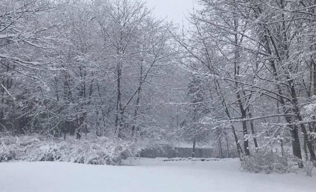 Peaceful Woodstock Retreat - Entire Restored Barn - thumb 2