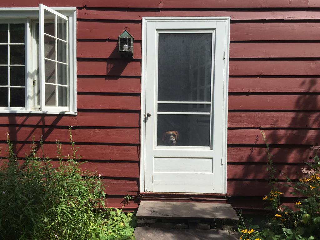 Peaceful Woodstock Retreat - Entire Restored Barn - thumb 1