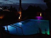 PURRfect Oasis Las Vegas Tourism House