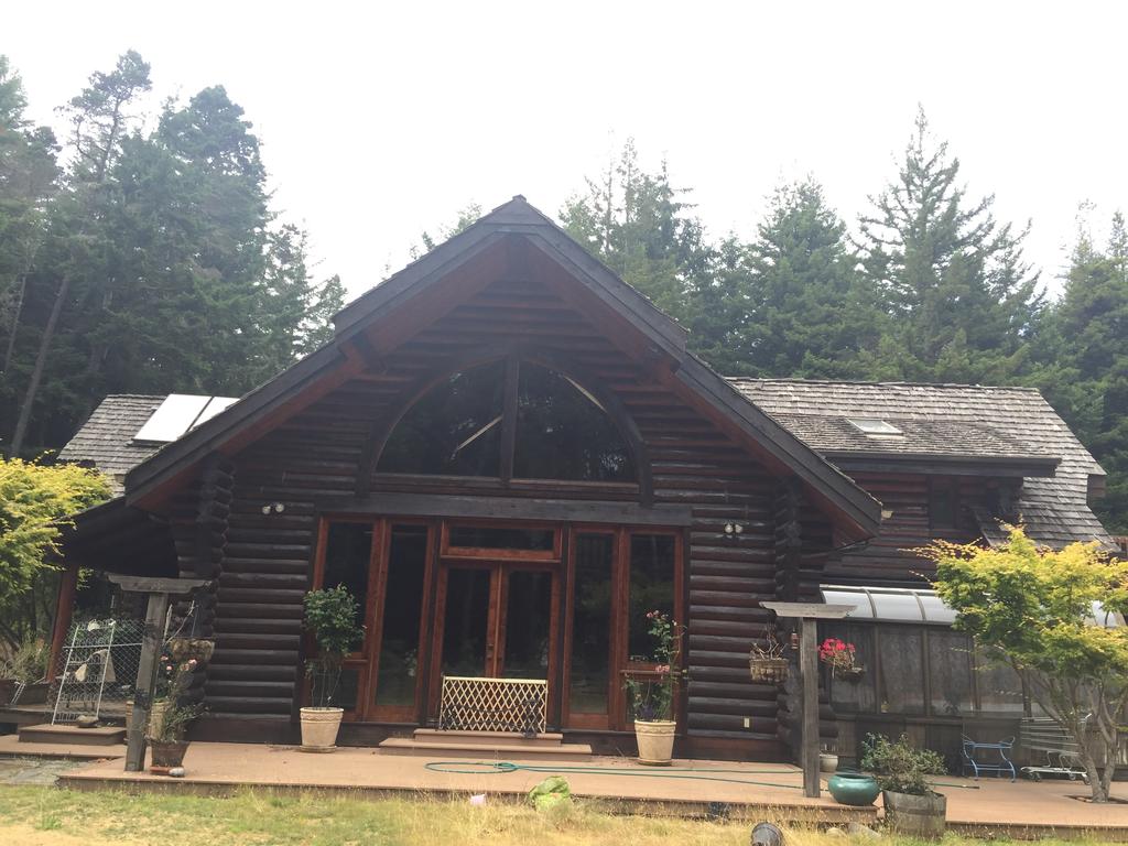 Redwood Forest - thumb 1