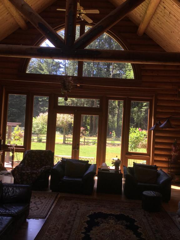Redwood Forest - thumb 0
