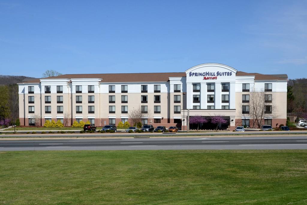 SpringHill Suites By Marriott Lynchburg Airport/University Area - thumb 1