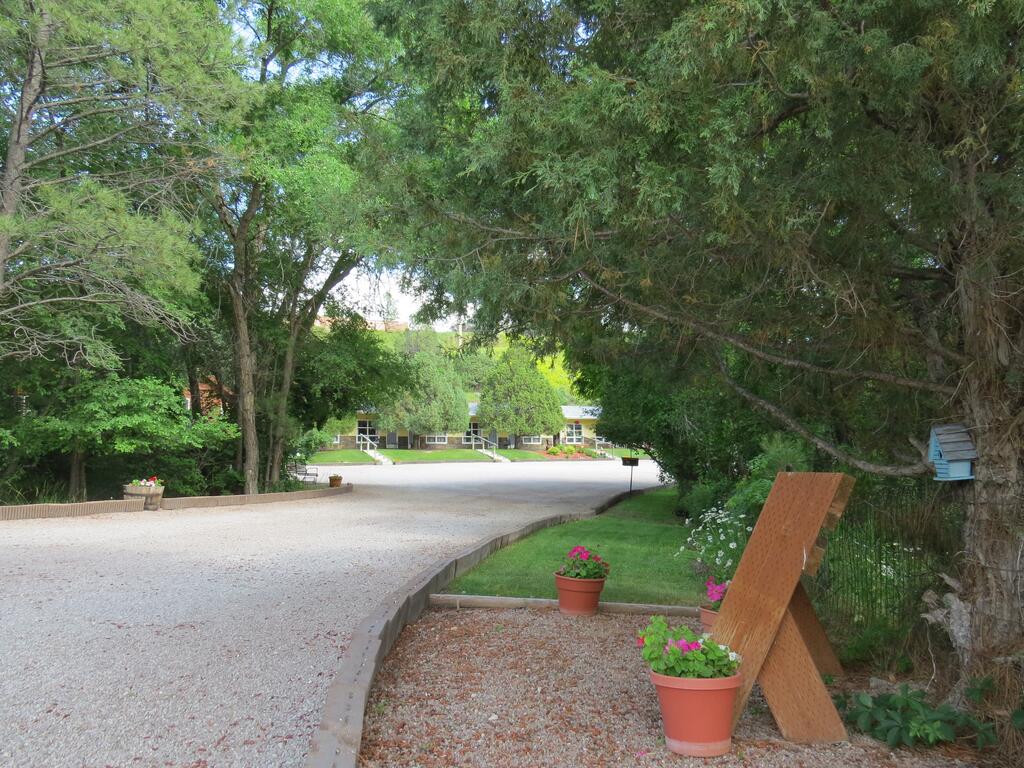 The Pines Country Inn - thumb 1