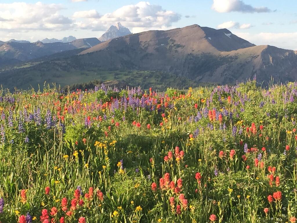 Trail Creek Ranch - thumb 2
