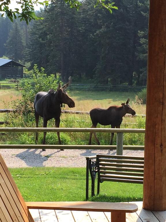 Trail Creek Ranch - thumb 1