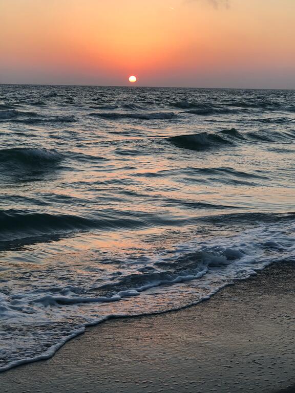 Turtle Crawl Inn - Longboat Key - thumb 3