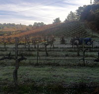 Vina Country Retreat - Tourism House