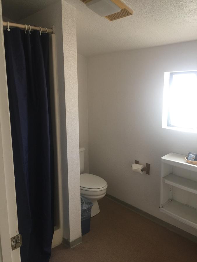 Little Daisy Motel - thumb 10