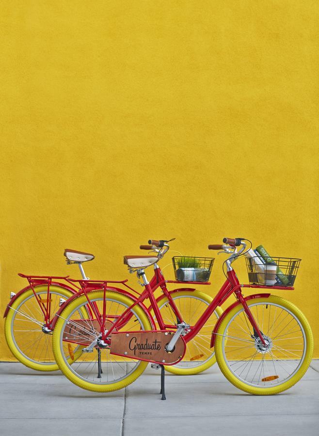 Graduate Tempe - thumb 18