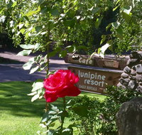 Junipine Resort - Tourism House