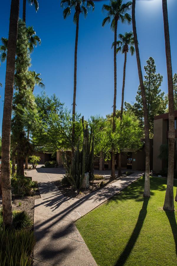 DoubleTree By Hilton Phoenix- Tempe - thumb 11