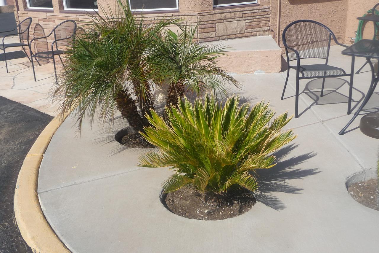 Palms Inn - thumb 18