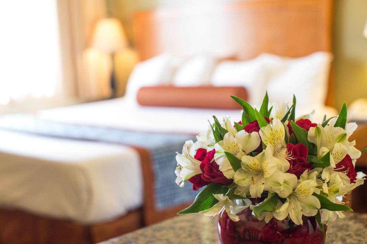 Beachwalker Inn & Suites - thumb 5