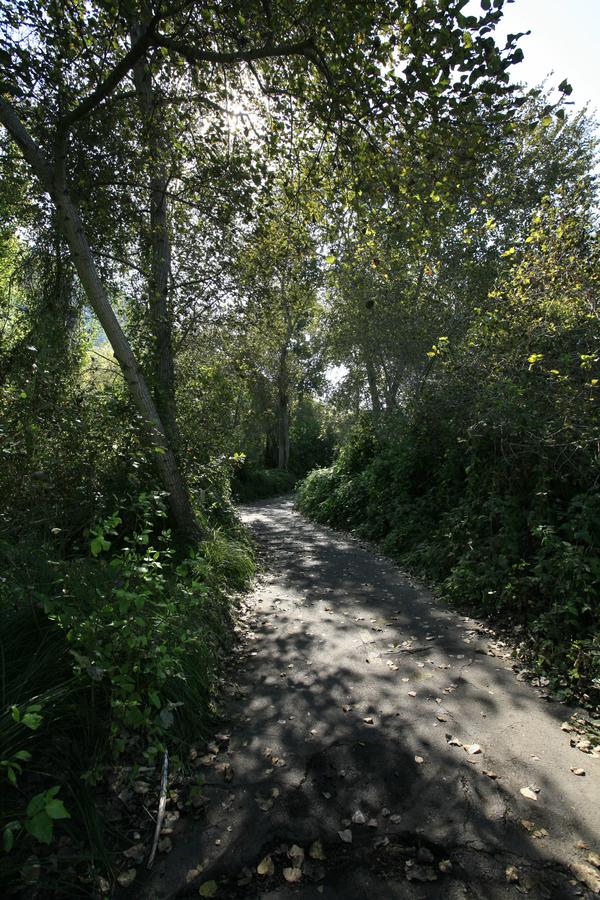 Avila Village Inn - thumb 28