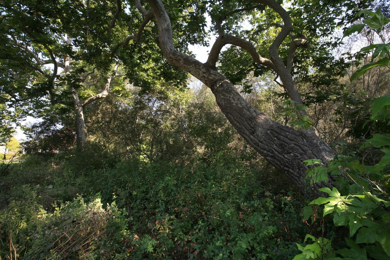 Avila Village Inn - thumb 20