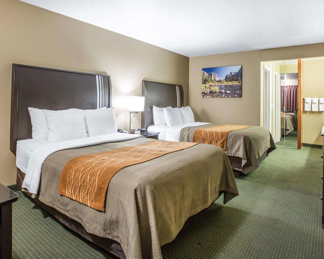 Comfort Inn Yosemite Area - thumb 12