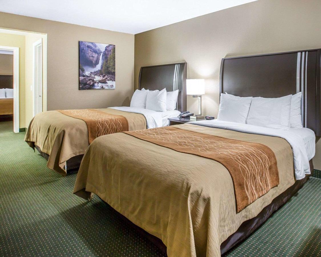 Comfort Inn Yosemite Area - thumb 17