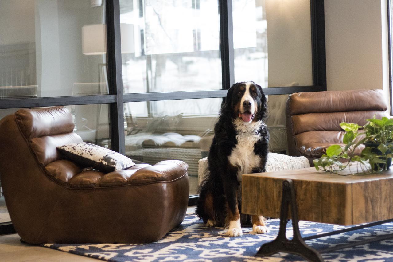 Hotel Becket Trademark Collection By Wyndham - thumb 14