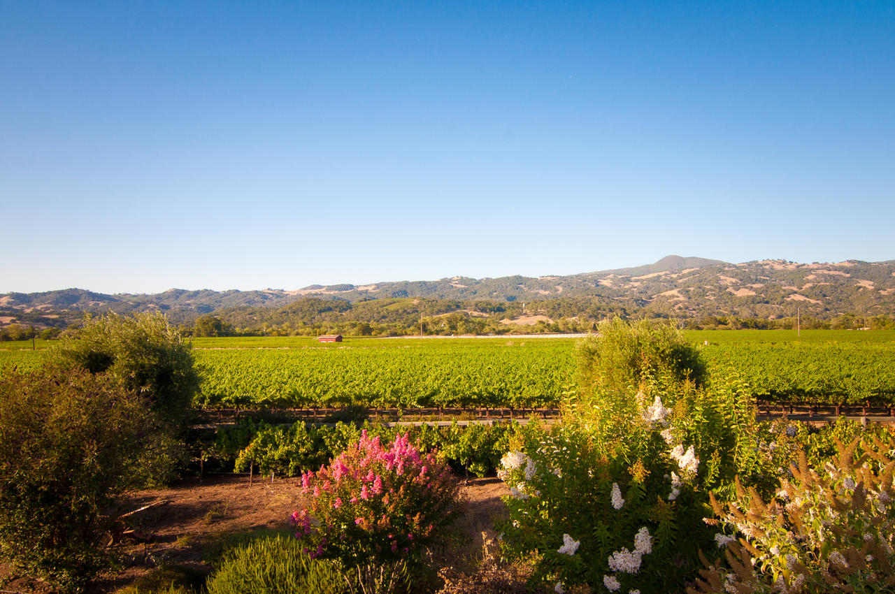 Geyserville Inn - thumb 26