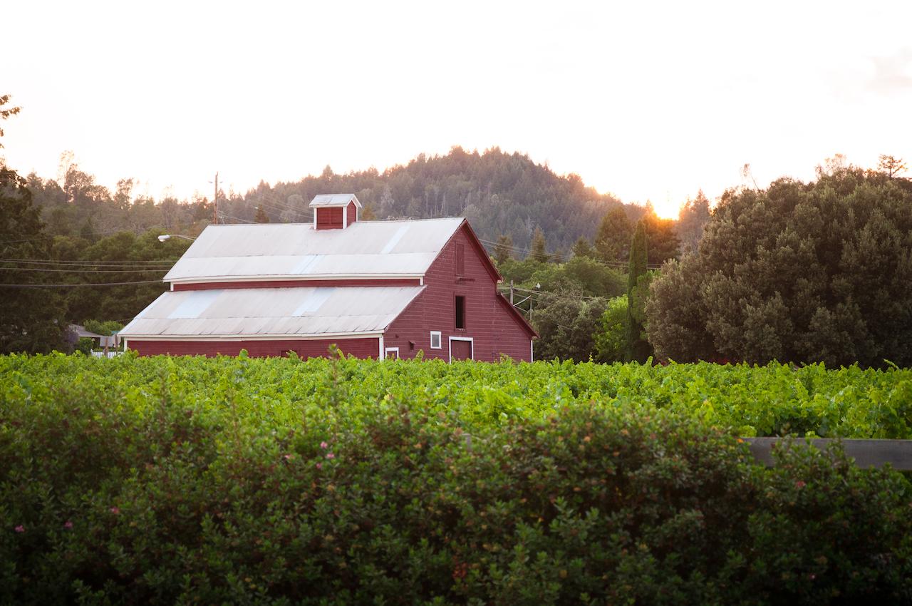 Geyserville Inn - thumb 31