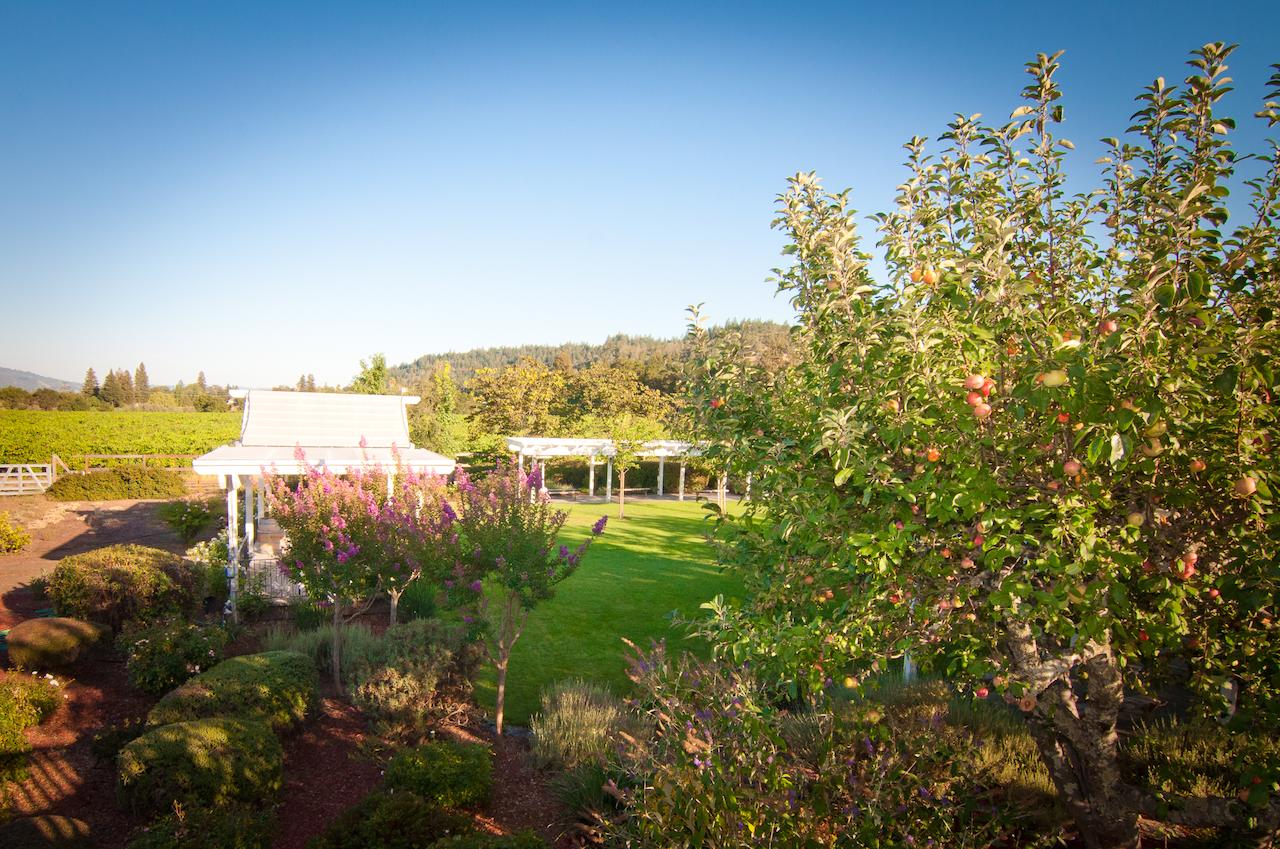 Geyserville Inn - thumb 29