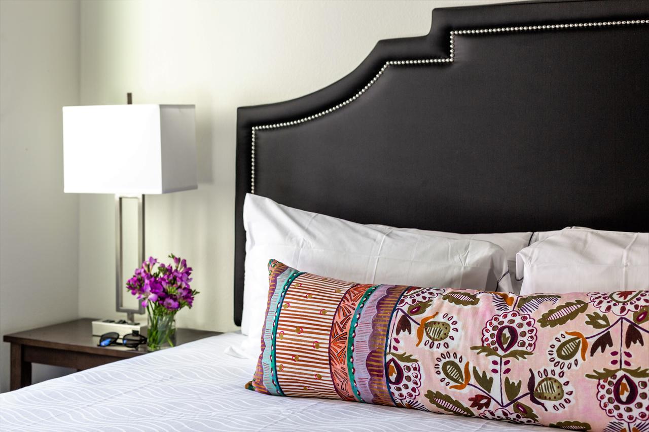 Stay Alfred At The District - thumb 10