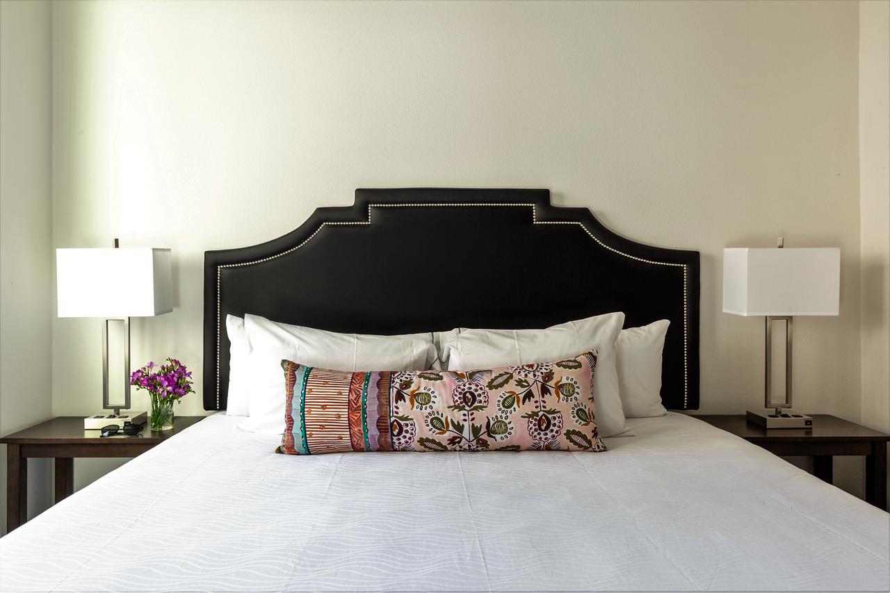 Stay Alfred At The District - thumb 42