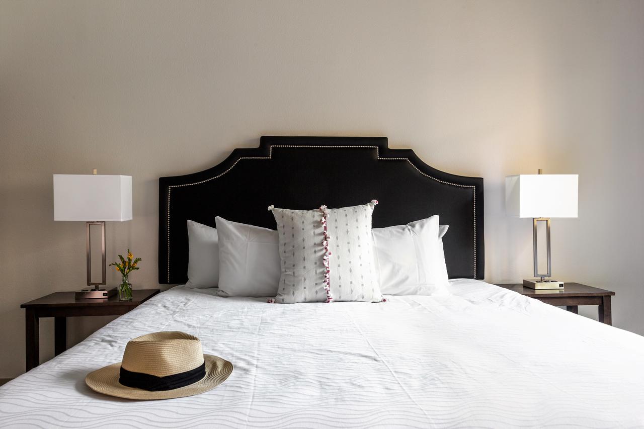 Stay Alfred At The District - thumb 34