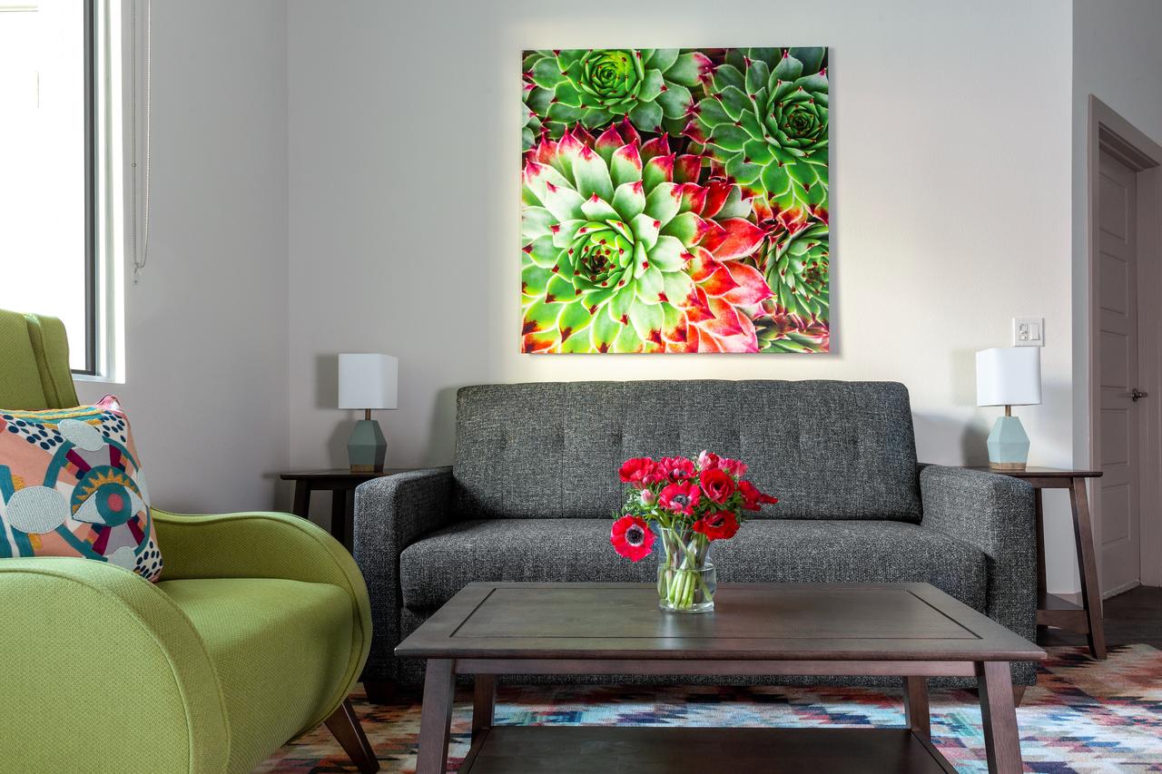 Stay Alfred At The District - thumb 8