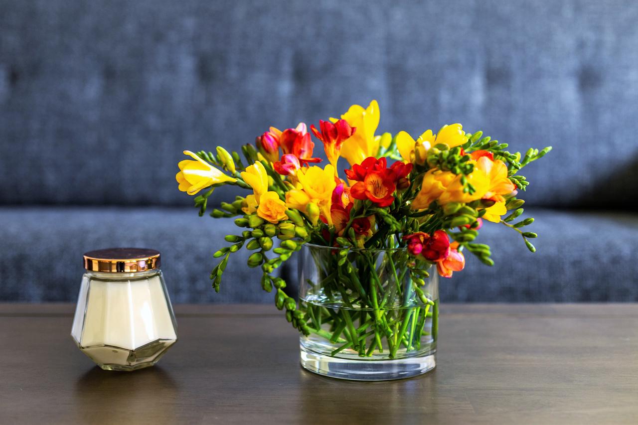 Stay Alfred At The District - thumb 39