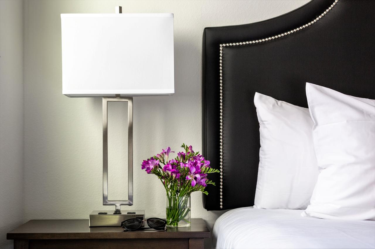 Stay Alfred At The District - thumb 41