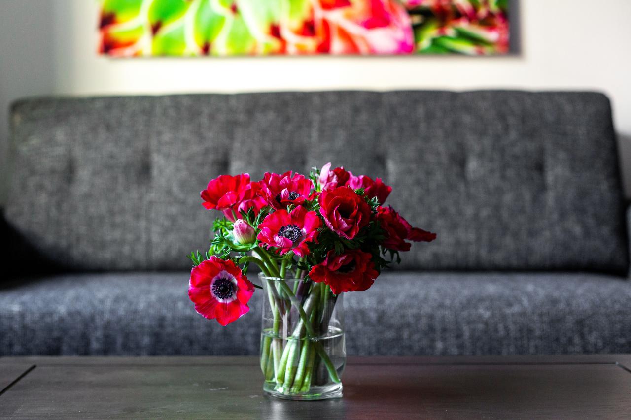 Stay Alfred At The District - thumb 7