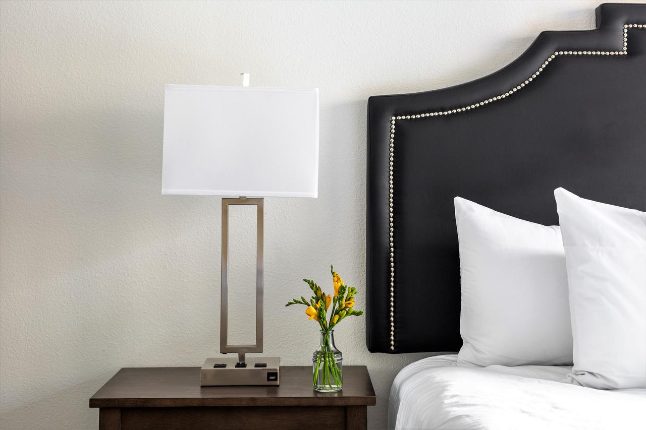 Stay Alfred At The District - thumb 33