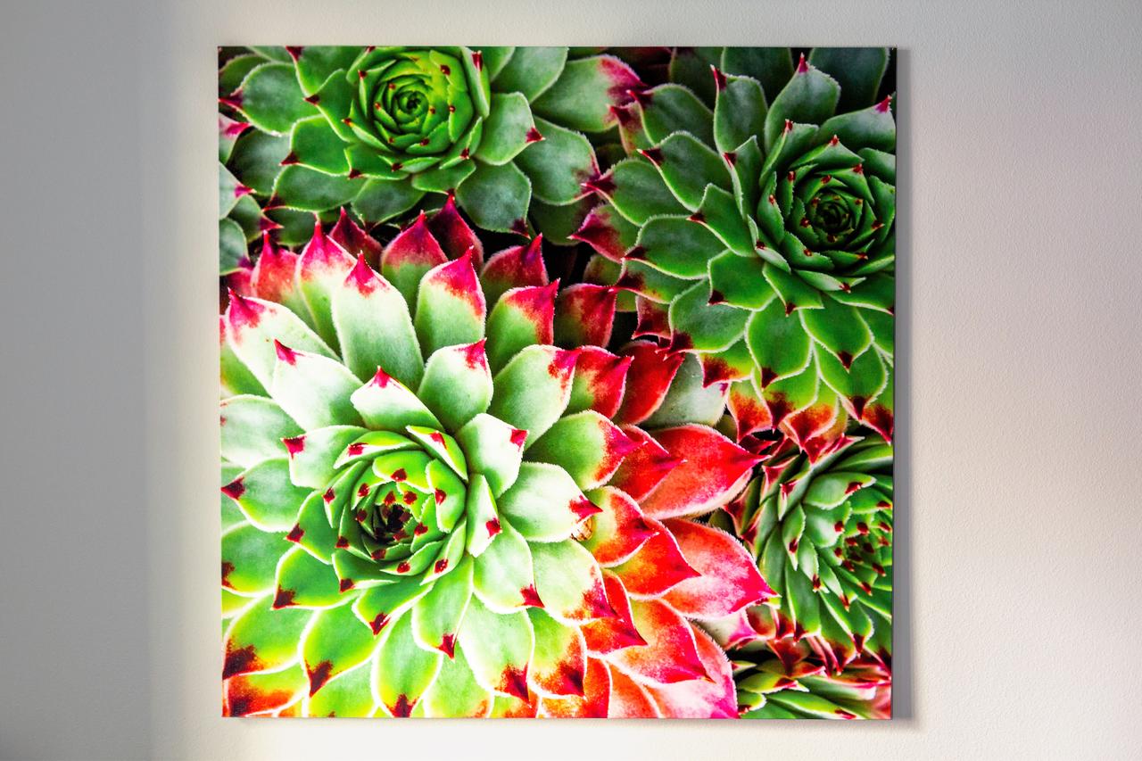 Stay Alfred At The District - thumb 9