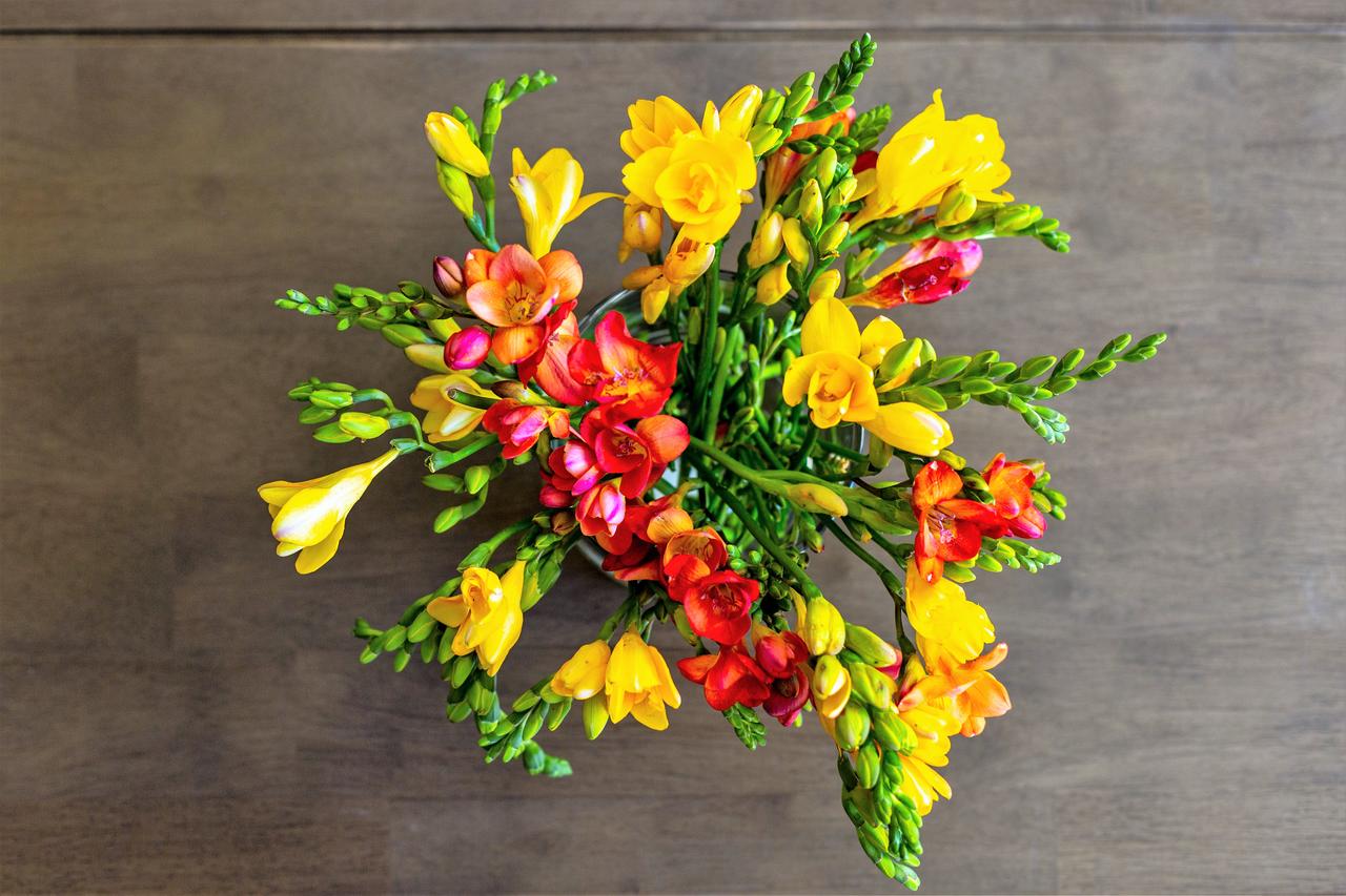 Stay Alfred At The District - thumb 20